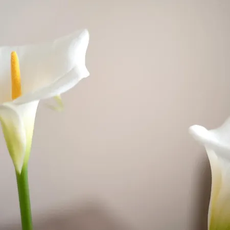 Casa Margarita Semesterbostad La Guancha